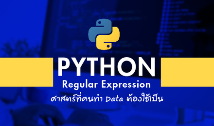 Python Regular Expression ศาสตร์ที่คนทำ Data ต้องใช้เป็น