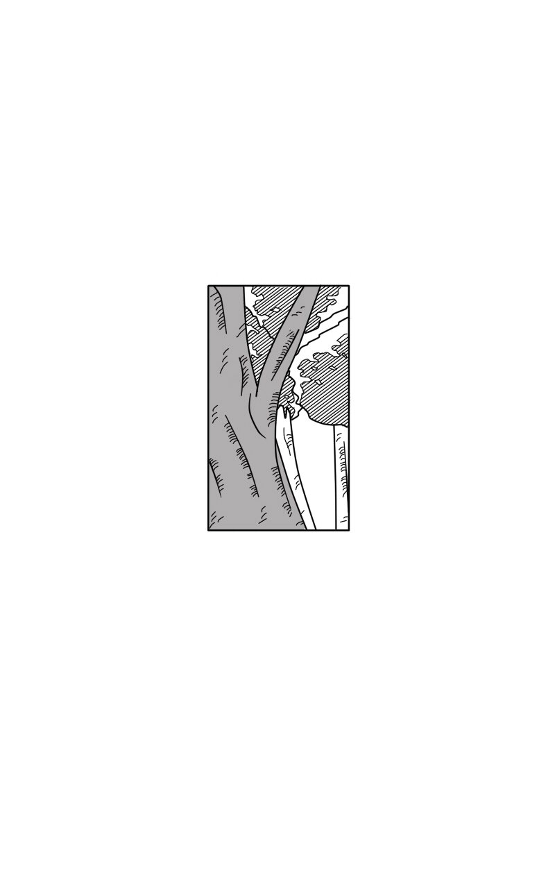 HUNT ฤดูกาลล่ามนุษย์ Part 1 - ป่าที่ไม่รู้จัก หน้าที่ 27