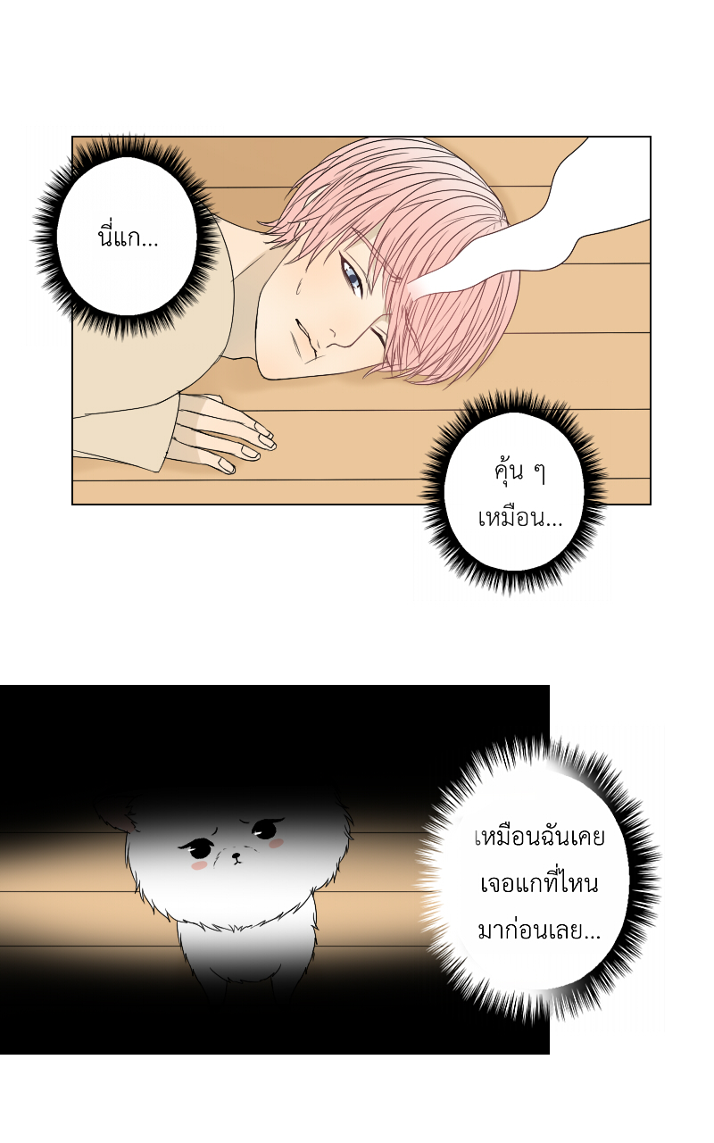 The Cakeverse EP. 23 - ไม่ใช่ฝันเหรอ? หน้าที่ 11