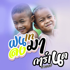 ฝนเทลงมา