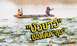 ชีวิตติด "สุข" กับ "บัวขาว บัญชาเมฆ"