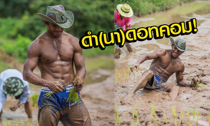 ลุยเองนักเลงพอ! "บัวขาว" พร้อมชาวค่ายบัญชาเมฆกับการดำนาที่เชียงใหม่ (อัลบั้ม)