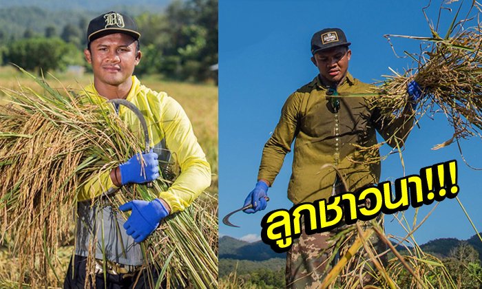 ไม่อายทำกิน! "บัวขาว" ยอดมวยไทยโพสต์ซึ้งรากเหง้าผมคือชาวนา (อัลบั้ม)
