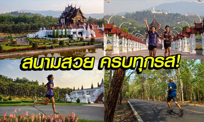 "Singha Series Run" สนามเชียงใหม่ สัมผัสบรรยากาศการวิ่งแบบขึ้นเขาและชมวิวในอุทยานหลวงราชพฤกษ์