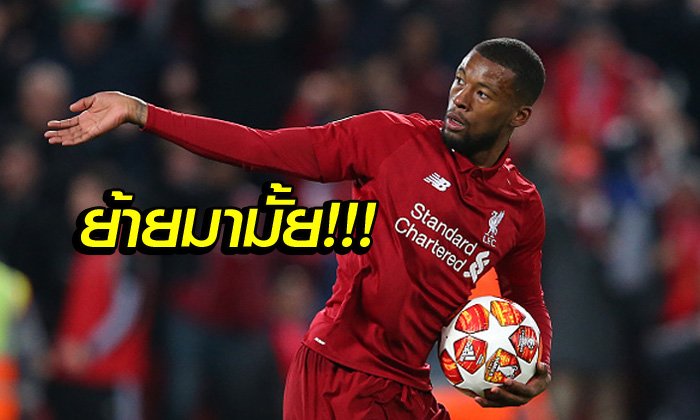 อะไรยังไง! "ไวนัลดุม" ส่งซิกชวนอดีตแข้งผีย้ายเล่นที่ ลิเวอร์พูล ซีซั่นหน้า