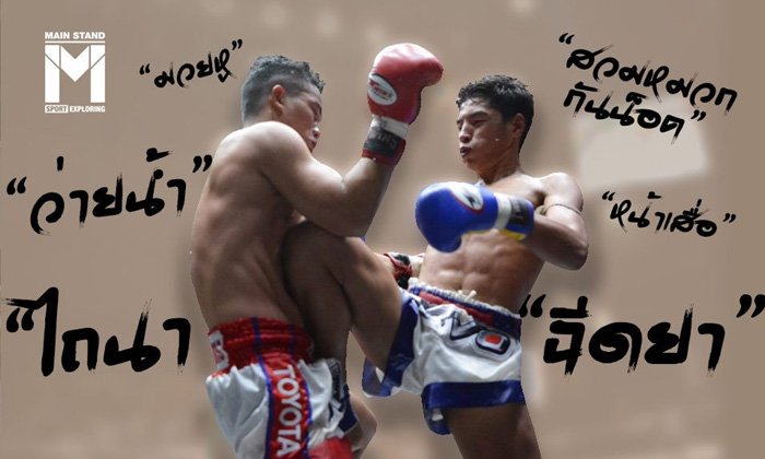 พจนานุกรม "มวยไทย" ที่คุณควรรู้