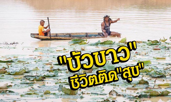 ชีวิตติด "สุข" กับ "บัวขาว บัญชาเมฆ"