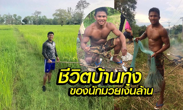 ตึกแห, จี่ปลา สไตล์ผู้บ่าวไทบ้าน "บัวขาว บัญชาเมฆ"