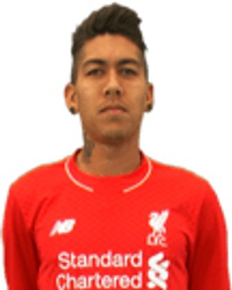 Roberto Firmino Barbosa de Oliveira (Bundesliga 2013-2014)