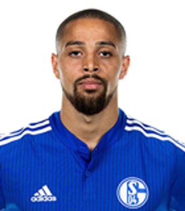 ซิดนี่ย์ แซม (Bundesliga 2013-2014)