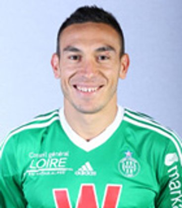 Mevlut Erding (Ligue 1 2013-2014)
