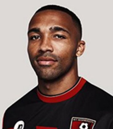 Callum Wilson (The Championship 2014-2015)