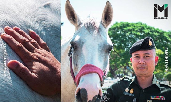 คุยกับ "จ่าสิบเอกสมพร ภูกลาง" : คนเลี้ยงม้า.. อาชีพที่ต้องเอาใจ "คน" ไปใส่ใจ "ม้า"