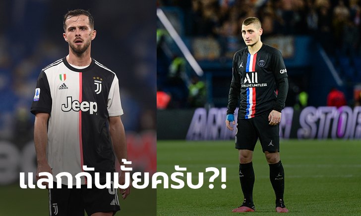 ใครคุ้ม? ม้าลายหวังใช้ "ปานิช" ล่อเปแอสเชปล่อย "แวร์รัตติ"
