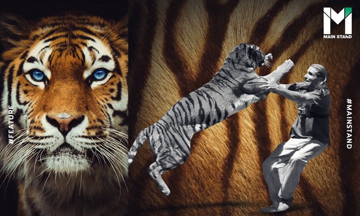 "มือพิฆาตพยัคฆ์" : คลายข้อสงสัย.. มนุษย์ฆ่าเสือด้วยมือเปล่าได้จริงไหม?