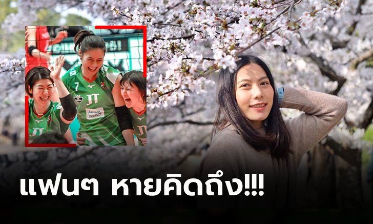 สดใสเหมือนเดิม! "ทัดดาว" นักตบลูกยางสาวท่ามกลางดอกซากุระบานที่ญี่ปุ่น (ภาพ)