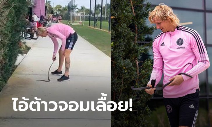 ผมโตมากับมัน! "เชีย" แข้งดังแดนลุงแซมโชว์จับงูในสนามซ้อมสุดชิล (คลิป)