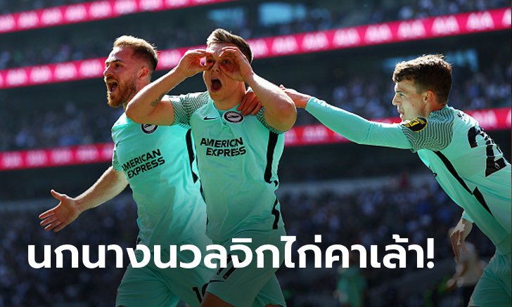 "ทรอสซาร์" ยิงนาทีบาป! ไบรท์ตัน อย่างคึกบุกเชือด สเปอร์ส 1-0