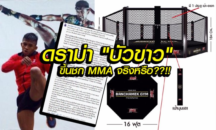 แฟนมวยดราม่าหนักหน่วง? "บัวขาว" ขึ้นชก MMA" จริงหรือ?