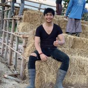 ห้วยไร่คัพ ครั้งที่ 3 