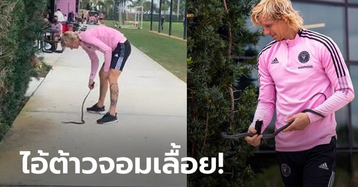 ผมโตมากับมัน! “เชีย” แข้งดังแดนลุงแซมโชว์จับงูในสนามซ้อมสุดชิล (คลิป)