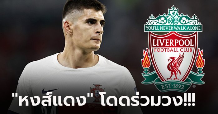 ดาวจรัสแสง! ลิเวอร์พูล พร้อมแย่งตัวบิ๊กยุโรปล่าตัว กองหลังดาวรุ่งโปรตุเกส