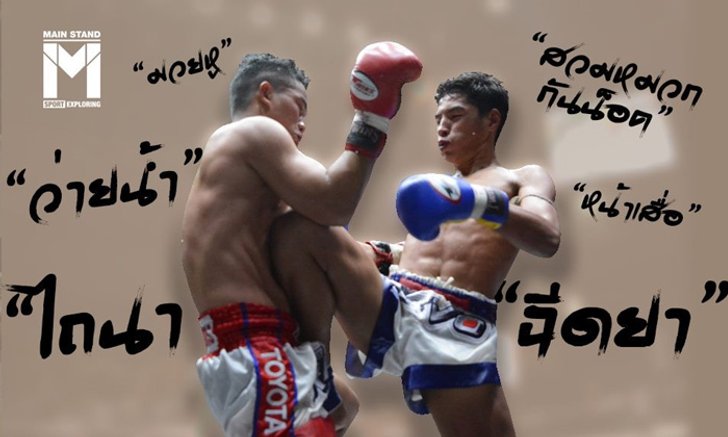 พจนานุกรม "มวยไทย" ที่คุณควรรู้