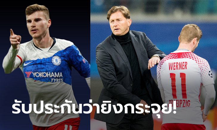 ปังแน่นอน! "ฮาเซนฮัทเทิล" ชี้ "แวร์เนอร์" จะเป็นอาวุธร้ายของสิงห์บลูส์