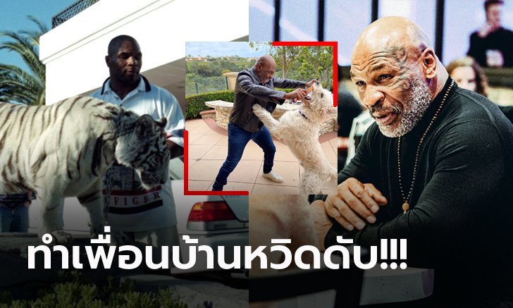 สุดช็อก! "ไมค์ ไทสัน" อดีตกำปั้นโลกเปิดใจเรื่องลับสมัยเลี้ยงเสือในบ้าน (ภาพ)