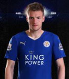 Jamie Vardy (The Championship 2013-2014)