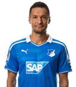 Sejad Salihovic (Bundesliga 2013-2014)