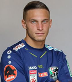 Bernd Gschweidl (Austrian Bundesliga 2017-2018)