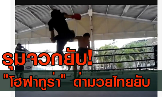 แฟนกีฬาสุดทน "โฮฟาทูร่า" จัดหนักด่ามวยไทยยับ