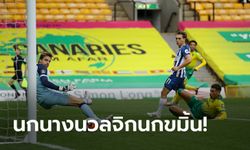 "ทรอสซาร์" ซัดโทน! ไบรท์ตัน บุกตบ นอริช 1-0 ศึกพรีเมียร์ลีก นัดที่ 33