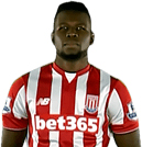 Mame Biram Diouf (Premier League 2014-2015)