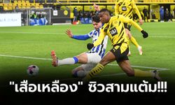 เป้าหมายท็อปโฟร์! ดอร์ทมุนด์ เปิดบ้านทุบ แฮร์ธ่าฯ 2-0 ขยับขึ้นที่ 5