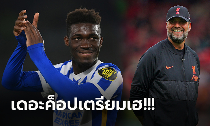 คุยจบรู้เรื่อง! สื่อสเปนเผย ลิเวอร์พูล บรรลุข้อตกลงกับ กองกลางไบรท์ตัน เรียบร้อย