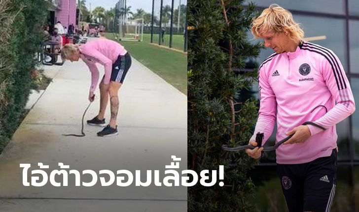 ผมโตมากับมัน! "เชีย" แข้งดังแดนลุงแซมโชว์จับงูในสนามซ้อมสุดชิล (คลิป)