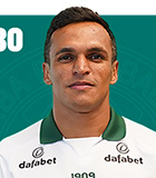 ร็อบสัน แฟร์นานเดส (Brazil Serie A 2023)