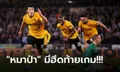 ไร้พ่าย 5 เกมติด! วูล์ฟแฮมป์ตัน เปิดรังไล่ตีเจ๊า นิวคาสเซิ่ล 2-2 รั้งที่ 12 ตาราง