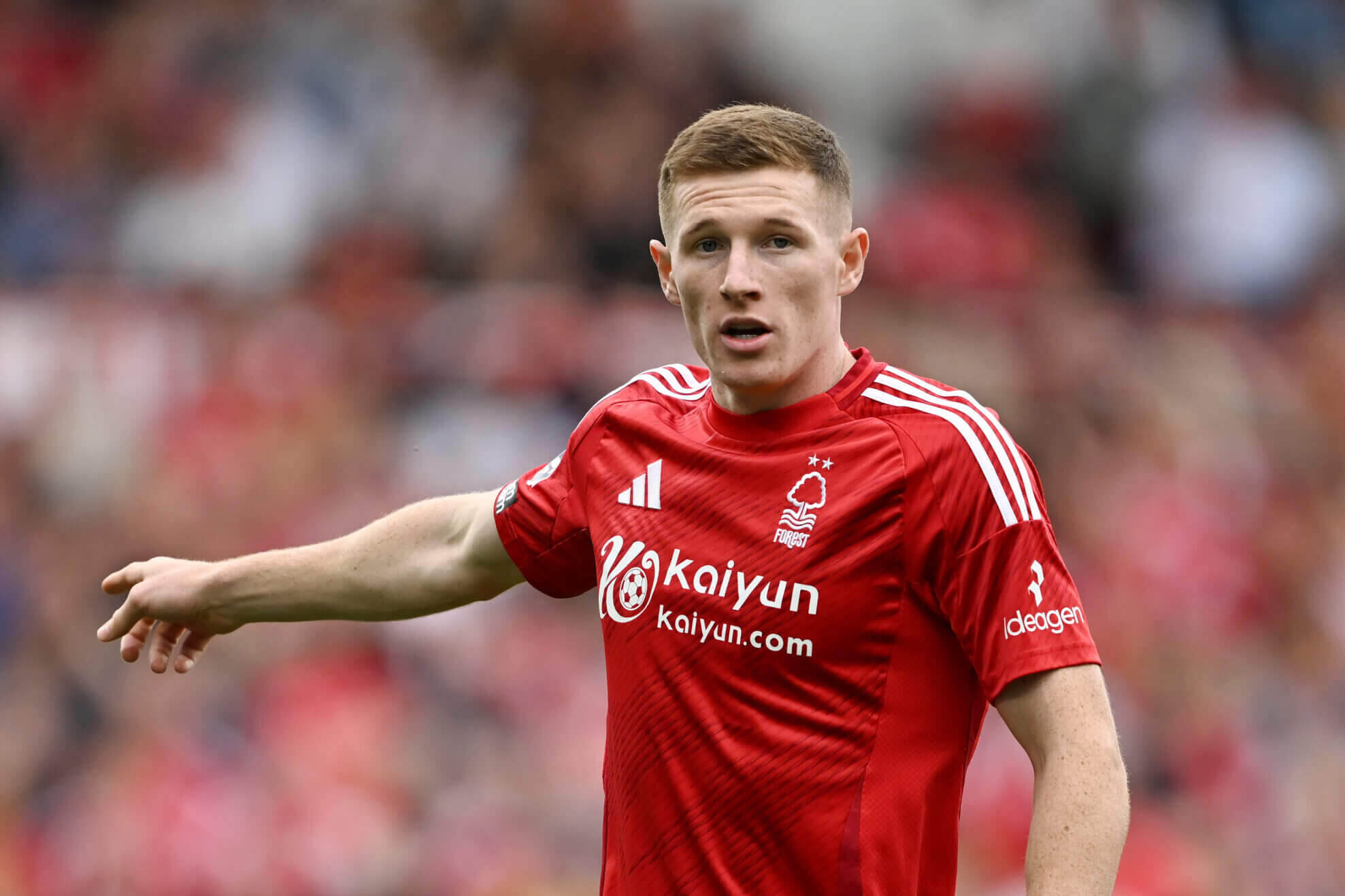 elliot-anderson-forest-scaled