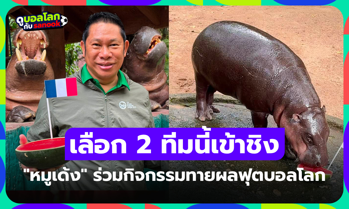 รอดูจะแม่นมั้ย! "หมูเด้ง" ร่วมสร้างสีสันฟันธงเลือกคู่ชิงชนะเลิศ ฟุตบอลโลก 2026