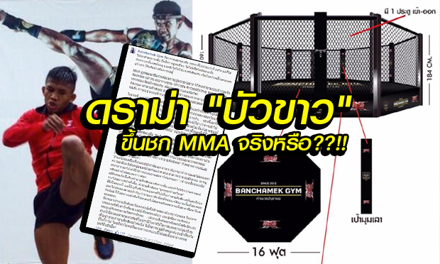 แฟนมวยดราม่าหนักหน่วง? "บัวขาว" ขึ้นชก MMA" จริงหรือ?