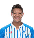 Joelinton Cassio Apolinario de Lira (Austrian Bundesliga 2016-2017)