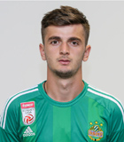 Giorgi Kvilitaia (Austrian Bundesliga 2016-2017)