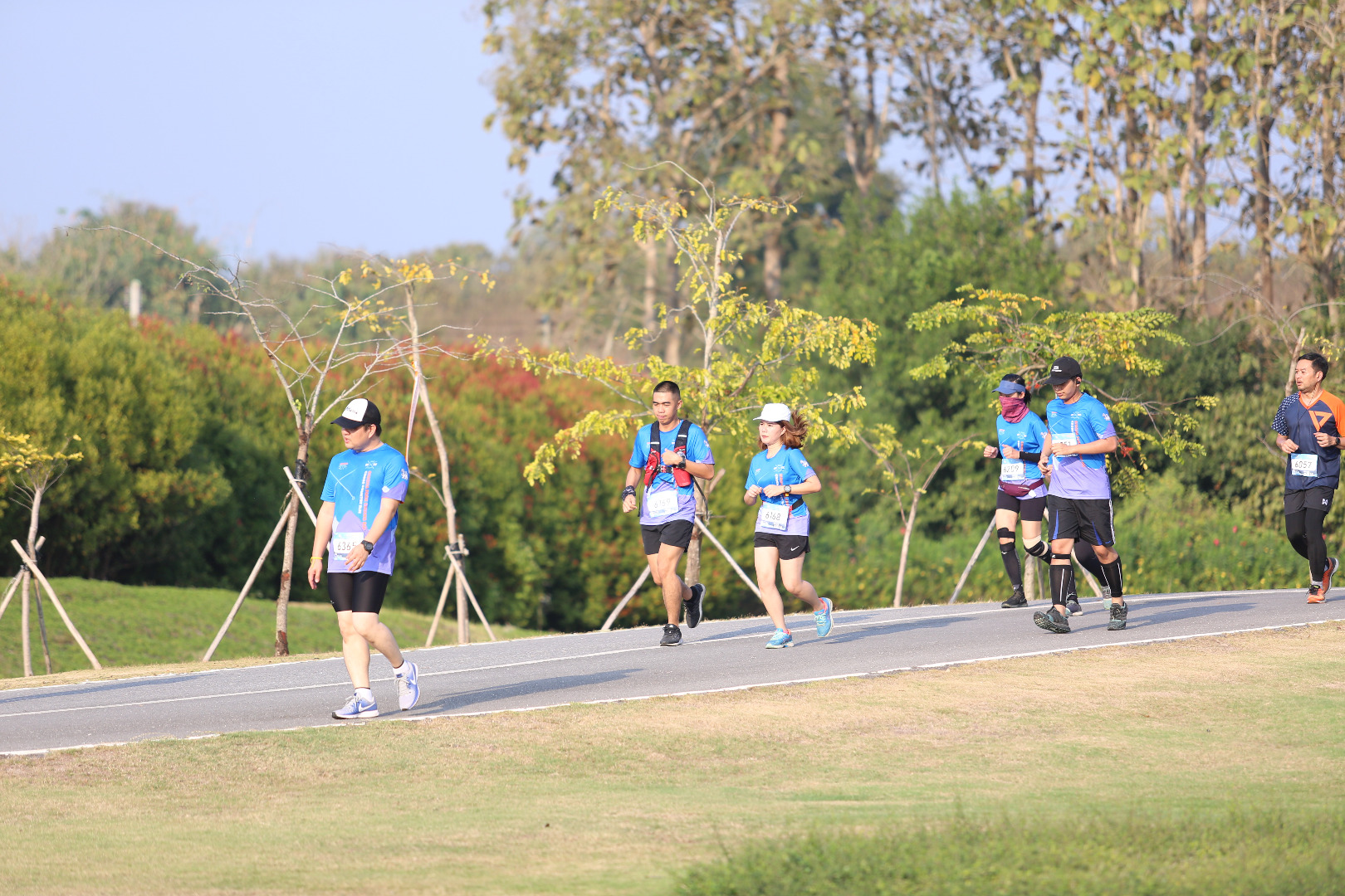 Singha Series Run