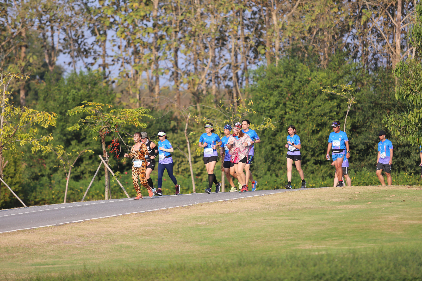 Singha Series Run