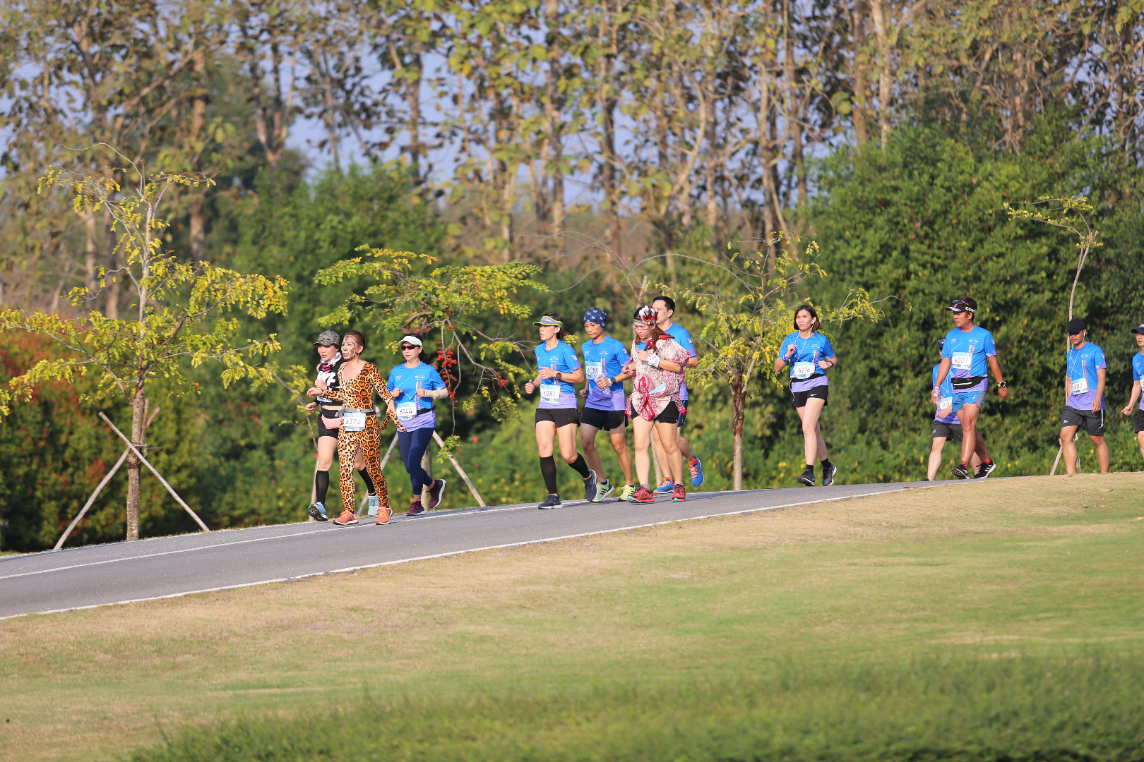 Singha Series Run