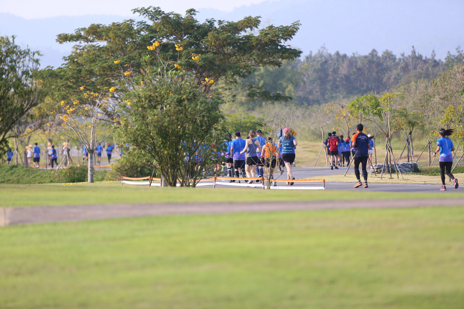 Singha Series Run