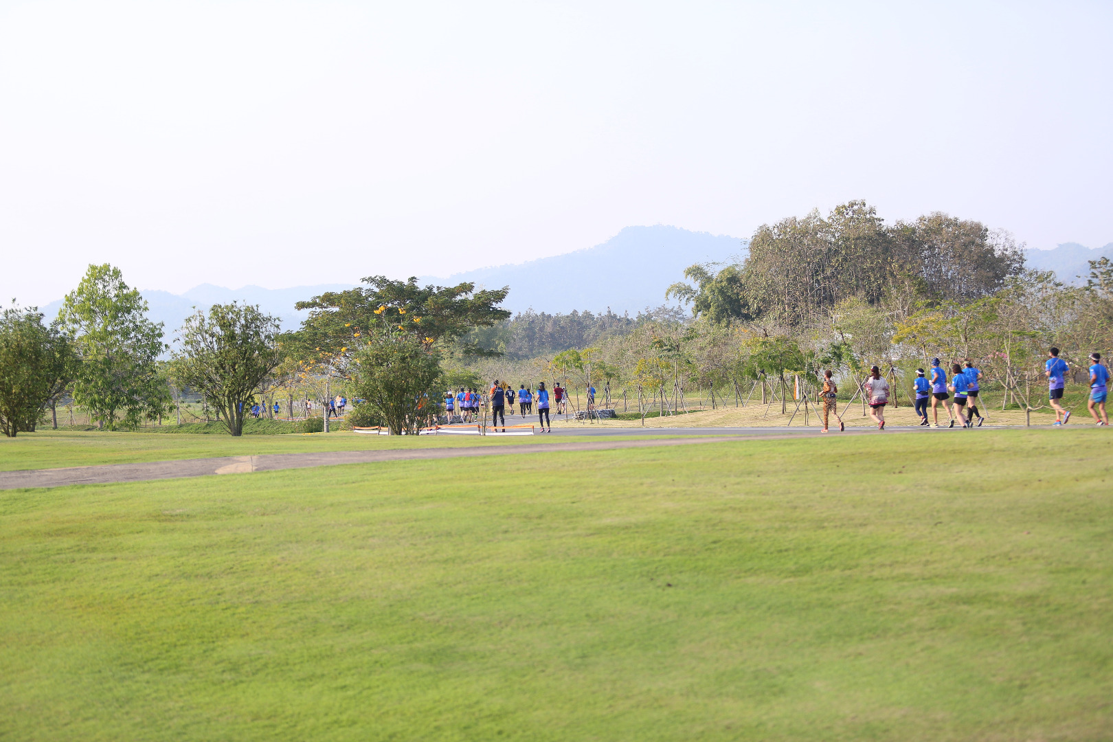 Singha Series Run